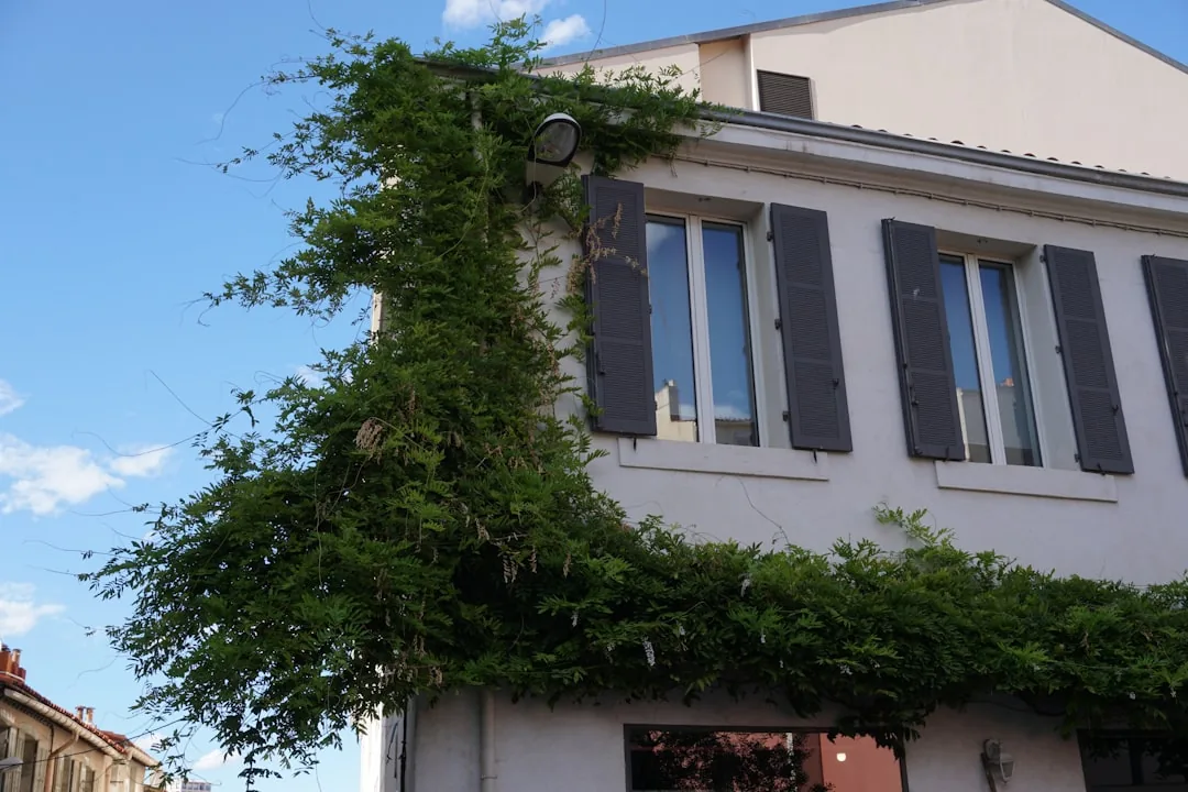 Rénovation façade & crépis — Détail technique FLEX&GO